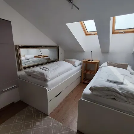 Alpinoase Centre Zell Am 滨湖采尔