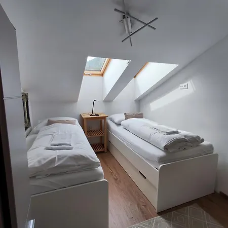 公寓 Alpinoase Centre Zell Am *