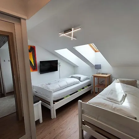 Alpinoase Centre Zell Am 公寓