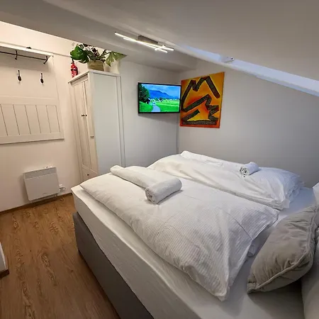 公寓 Alpinoase Centre Zell Am *