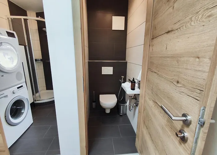 Apartment Alpinoase Centre Zell Am *